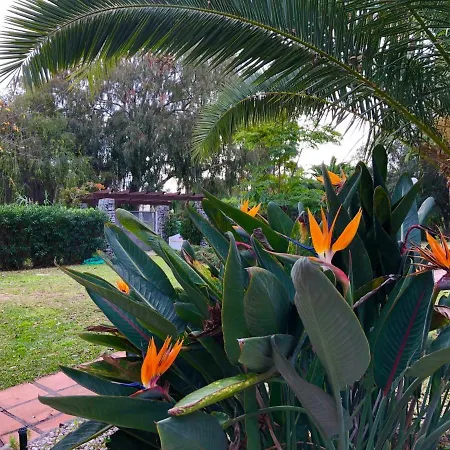 Apartament Puerto Banus Flores *